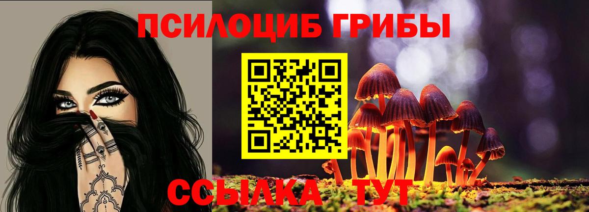Галлюциногенные грибы мицелий Озёры