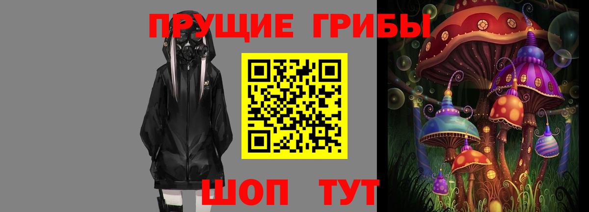 закладки  Вход с VPN  Галлюциногенные грибы мицелий  Озёры  Галлюциногенные грибы ЛСД 
